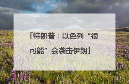 特朗普：以色列“很可能”会袭击伊朗